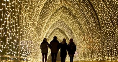 Holiday Light Tours